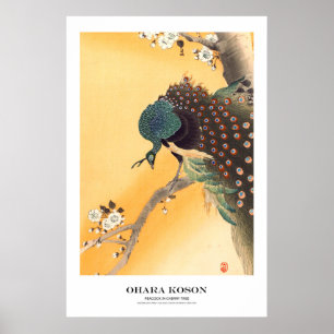 Japanese Art Print - Ohara Koson - Peacock
