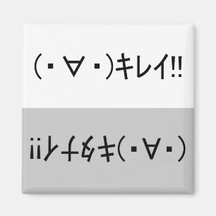 Japanese ASCII Art「キレイ!」&「キタナイ!」dishwasher magnet