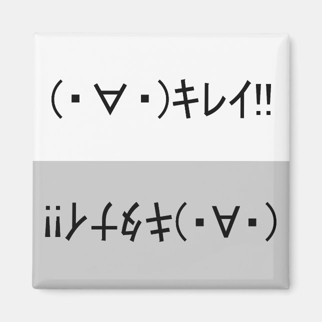 Japanese ASCII Art「キレイ!」&「キタナイ!」dishwasher magnet (Front)