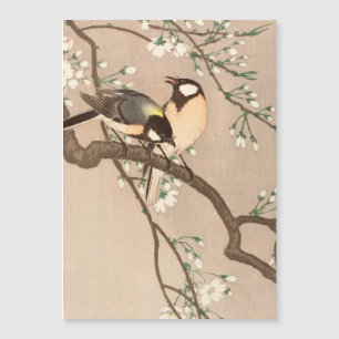 Japanese Asian Koson Bird Chickadee Songbird