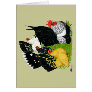 Japanese Bantam Quartet