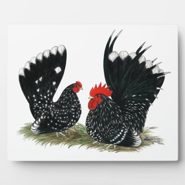 Japanese Bantams Mottled Plaque (Front)