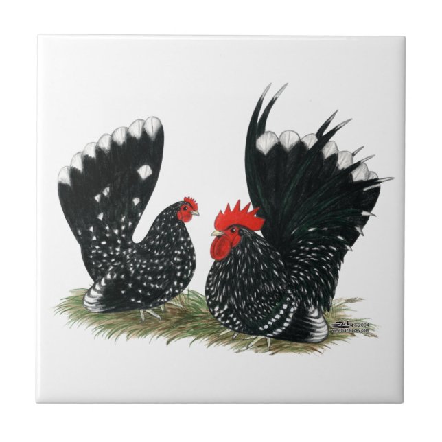 Japanese Bantams Mottled Tile (Front)