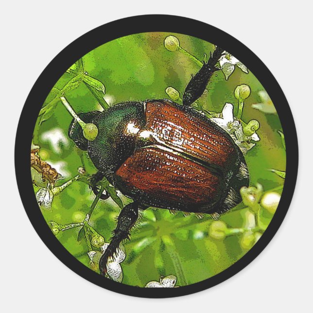 Japanese Beetle Insect Sticker (Front)