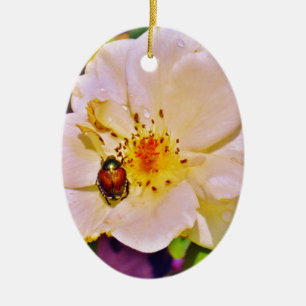 Japanese Beetle on White  Rose Ceramic Tree Decoration