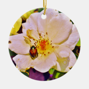Japanese Beetle on White  Rose Ceramic Tree Decoration
