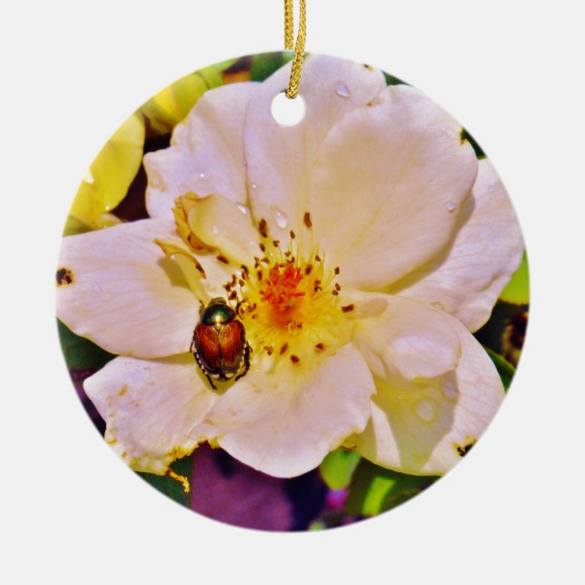Japanese Beetle on White  Rose Ceramic Tree Decoration (Front)