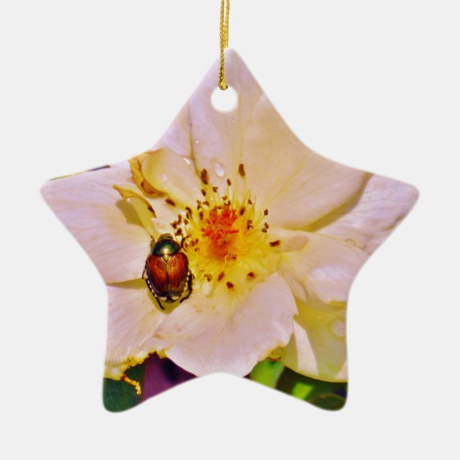 Japanese Beetle on White  Rose Ceramic Tree Decoration (Front)