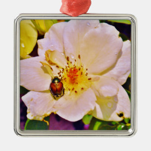 Japanese Beetle on White  Rose Metal Tree Decoration