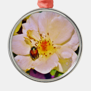 Japanese Beetle on White  Rose Metal Tree Decoration