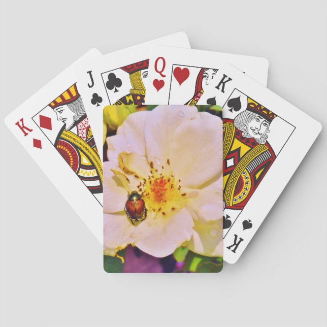 Japanese Beetle on White  Rose Playing Cards (Back)