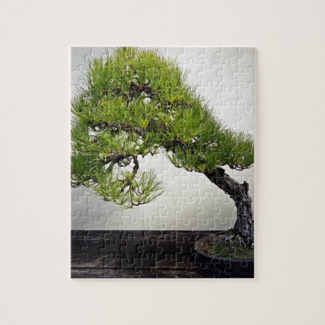 Japanese Black Pine Bonsai Jigsaw Puzzle (Vertical)