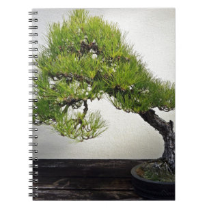 Japanese Black Pine Bonsai Notebook