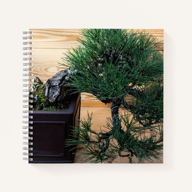 Japanese Black Pine Bonsai Tree Notebook (Front)