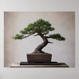 Japanese Black Pine Bonsai Zen Wall Art