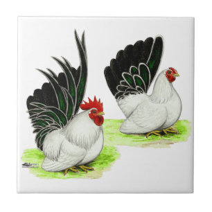 Japanese Black White Bantams Tile