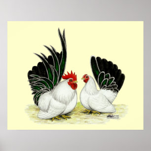 Japanese Blacktail Bantams Poster
