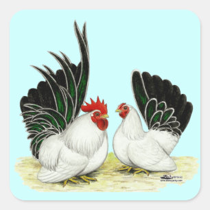 Japanese Blacktail Bantams Square Sticker