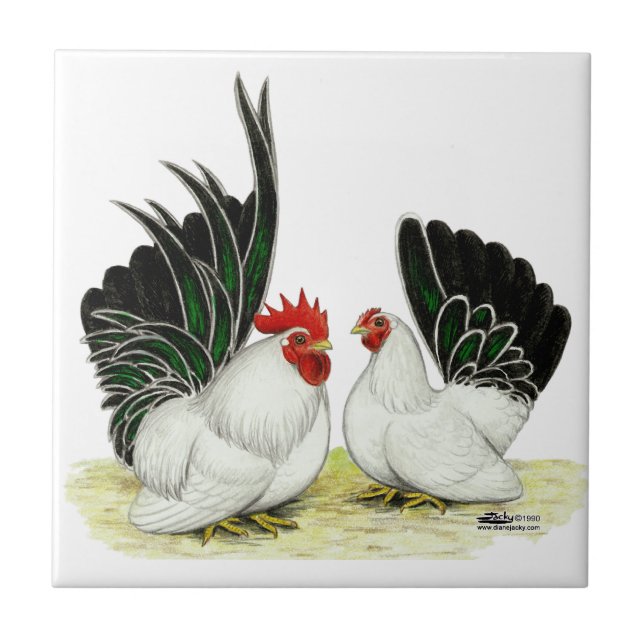 Japanese Blacktail Bantams Tile (Front)