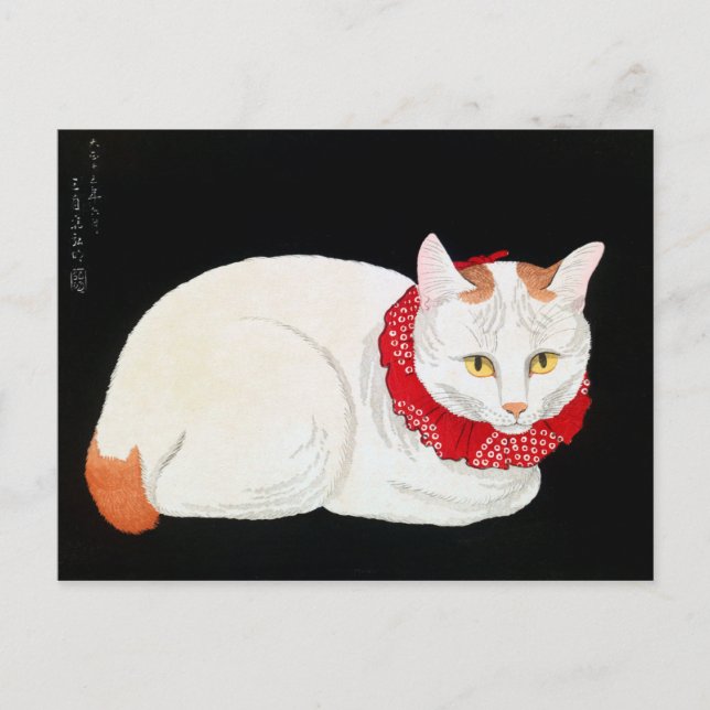 Japanese Bobtail Cat, Shotei Postcard (Front)