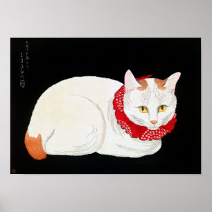 Japanese Bobtail Cat, Shotei Poster