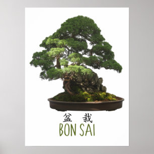 Japanese Bonsai Tree and Symbol Poster
