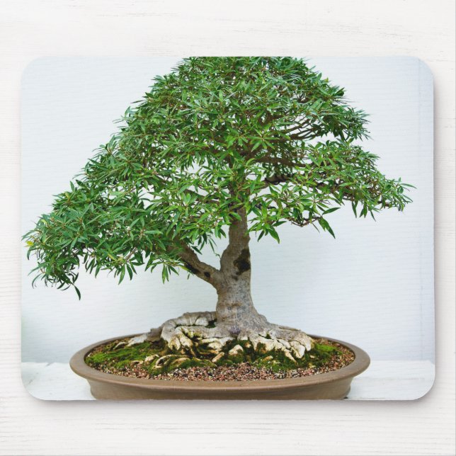Japanese Bonsai Tree in Shallow Oval Pot Mouse Mat (Front)