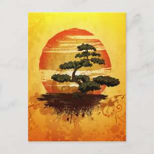 Japanese Bonsai Tree Sunset Postcard