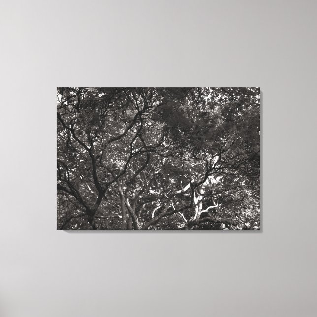 Japanese Branches Canvas Print (Front)