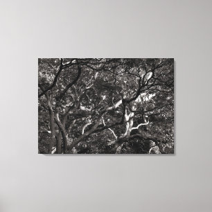 Japanese Branches III Canvas Print