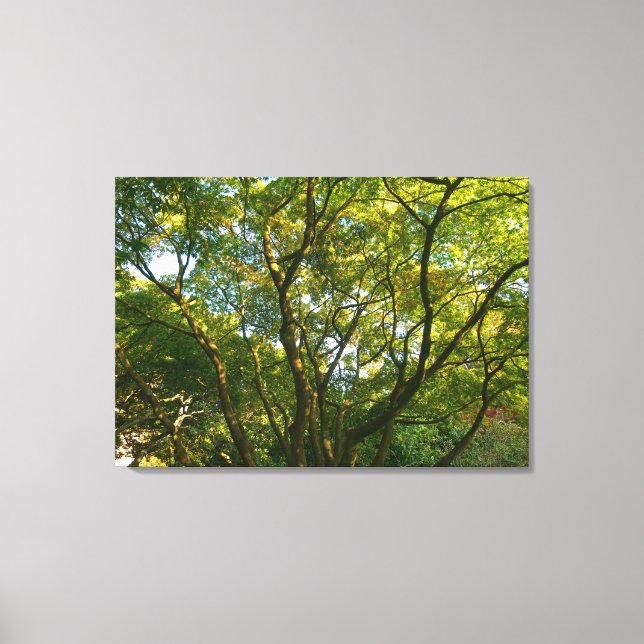 Japanese Branches VI Canvas Print (Front)