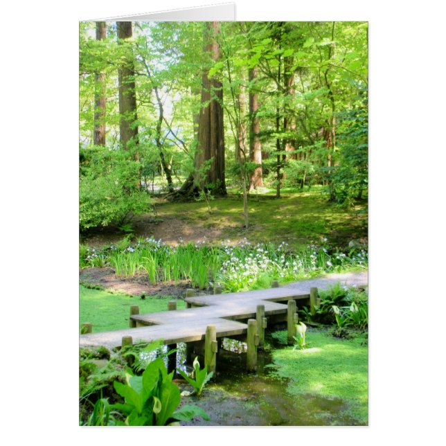 Japanese Bridge in the Nitobe Gardens (Front)