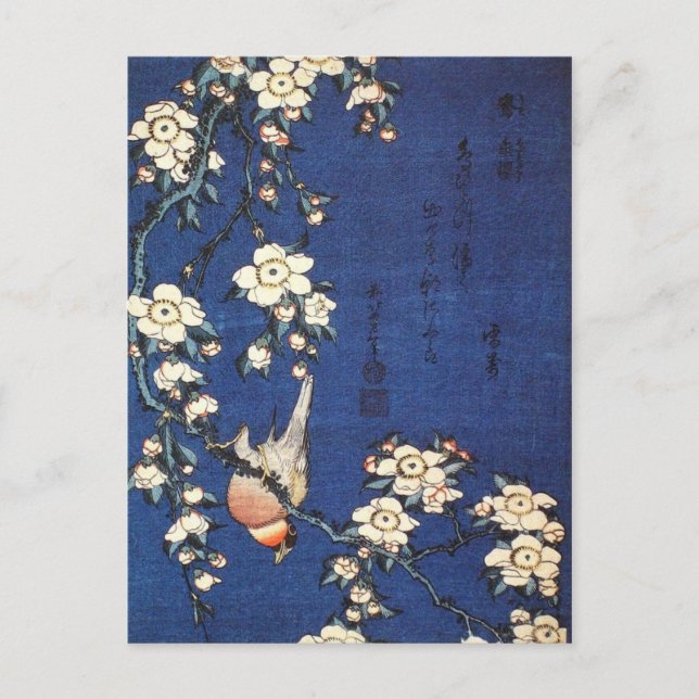 Japanese Bush Warbler and Weeping Cherry (Hokusai) Postcard (Front)