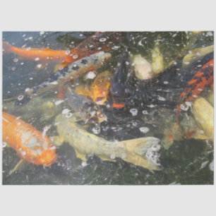Japanese Carp Koi Fish Swimming  Tissue Paper