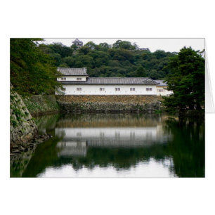 Japanese Castle Moat