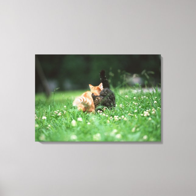 Japanese Cat 4 Canvas Print (Front)