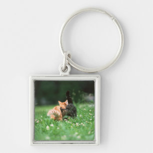 Japanese Cat 4 Key Ring