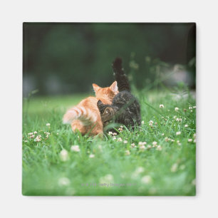 Japanese Cat 4 Magnet