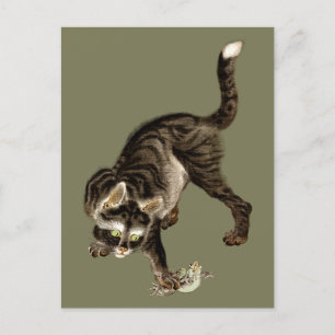 Japanese Cat Catching a Frog Postcard