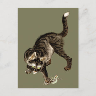 Japanese Cat Catching a Frog Postcard