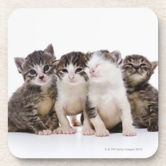 Japanese cat coaster (Front)