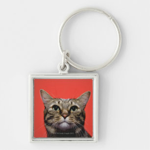 Japanese cat looking up key ring