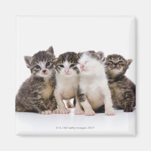 Japanese cat magnet