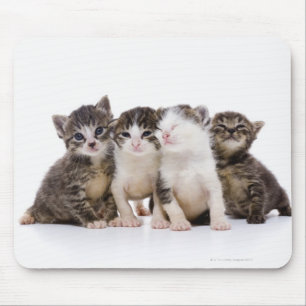 Japanese cat mouse mat