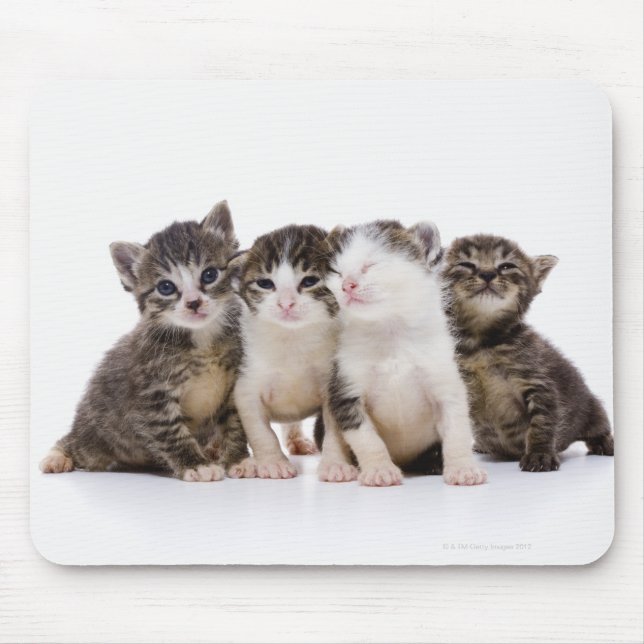 Japanese cat mouse mat (Front)