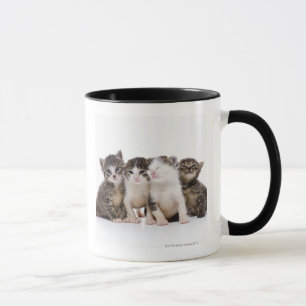 Japanese cat mug