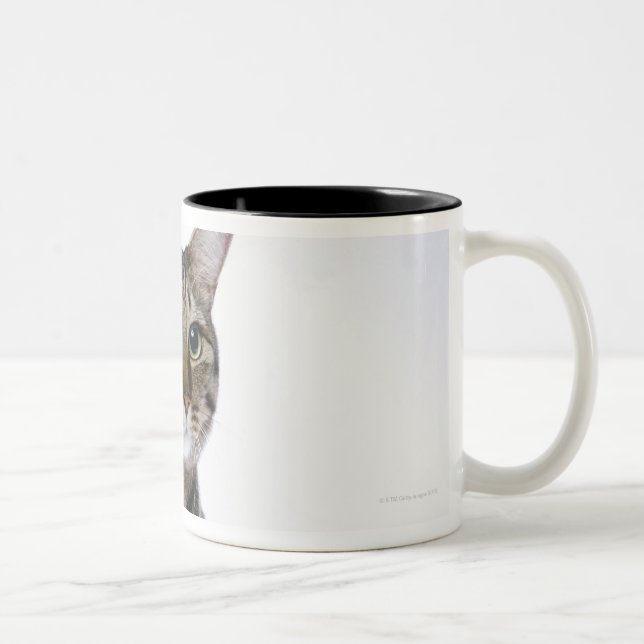 Japanese cat on white background Two-Tone coffee mug (Right)