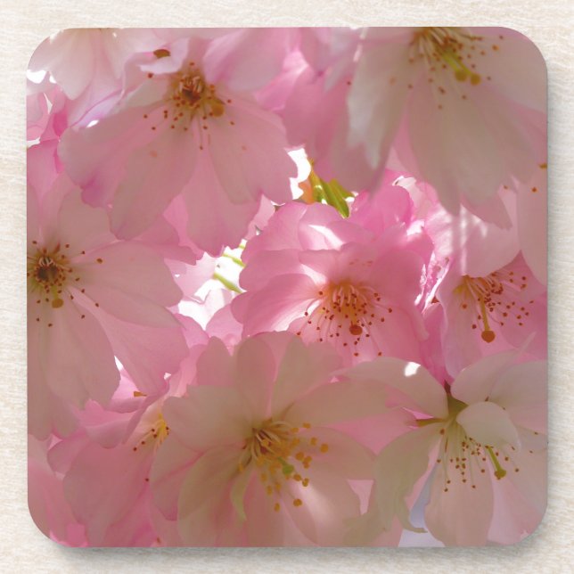 Japanese Cherry Blossom Coaster (Front)