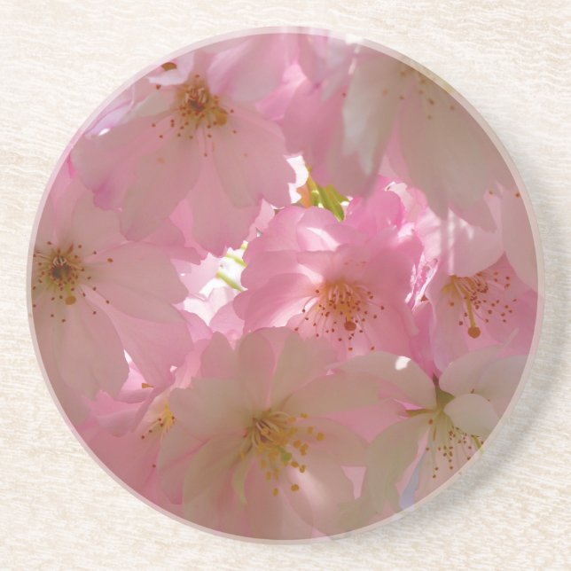 Japanese Cherry Blossom Coaster (Front)