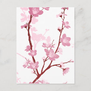 Japanese cherry blossom, gentle pink flower,girly, postcard